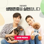 법인 애견분양브랜드 요미펫, 강아지 고양이 책임분양 공식화 및 진행