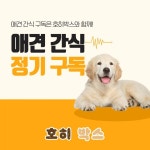 호히박스, 애견간식 정기구독 서비스 출시