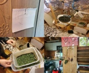 대마사범 2~3세 기업은 고려제강·대창기업·남양유업·효성家