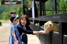 물놀이는 물론 동물먹이체험·영어수업까지 켄싱턴호텔 평창 키즈 서머 캠프 출시