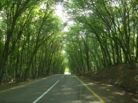 [허여사의 여행일기 코카서스편] Day-5