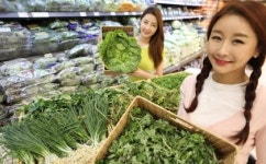 봄맞이 나선 백화점·대형마트