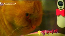 너무 귀엽고 매력터져요...위너, 동물농장 출연 화제