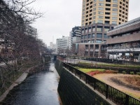 [안준철의 라이프 트렌드 읽기]Destination Spa에서 Destination Spot