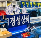 [맛집 기행] 노량진수산시장 맛집 ‘경성상회’, 자연산 활어 숙성회·모듬회로 생생한 횟감 인기