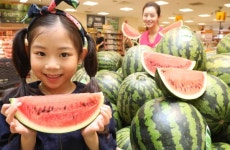 징검다리 휴일, 대형마트·아웃렛에서 즐겨요…할인 행사 등 풍성