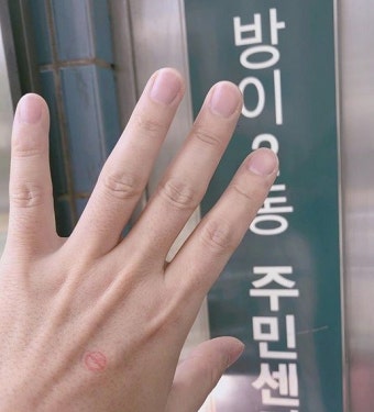 이승환, 왜 화제 됐나?...사전투표 인증샷 공개하며 6.13지방선거 투표 독려
