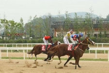 ‘월드선’ ‘농림축산식품부장관배’ 깜짝 우승, 3세마 혼돈시대