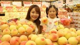 롯데마트, 7월 11일까지 청도·임실 등의 제철 복숭아 전 점 판매