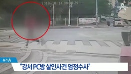 pc방 살인사건 피의자 정신감정, 1개월 동안 진행되는 이유 