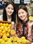 “제철 맞은 제주 밀감 맛보세요”…홈플러스, 21일까지 제주 밀감 할인 판매