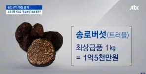 송로버섯, 왜 귀할까?