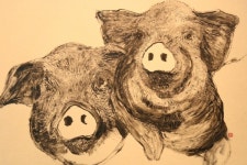광동제약, ‘2019 복 받으세요! 황금돼지 展’ 개최