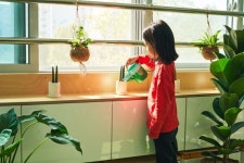 마켓컬리, 서울 월곡초에 첫 ‘교실 숲’ 조성 완료