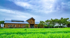 상하농원, 4월 초록으로 물든 고창으로의 초대  봄따라 청보리 여행 선보인다