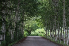 위드플, 생태체험과 시골여행을 동시에… 강원도 인제 여름휴가 지원