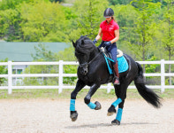 유럽형 승마클럽 W홀스랜드로 가을 나들이...단풍도 보고 말도 타고