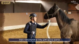 한국마사회, 말 과학적 말 조련·조교법 연구결과 발표