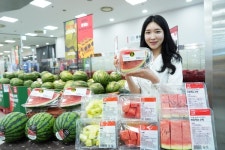 롯데마트ㆍ슈퍼,  미니/조각 수박, 조각 메론 등 전년대비 2배 확대 운영