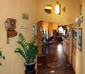 자동차테마레스토랑 ‘오페라하우스’