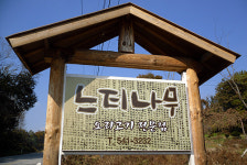 ‘느티나무’에 가면 눈과 입 즐겁다