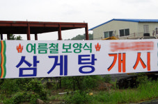 여름철 보양식 삼게탕(?)