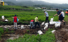 예산군 봉산면, 수해피해 복구에 온 힘