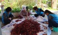 천안시 직산읍, ‘온유한 집’ 찾아 봉사활동 펼쳐