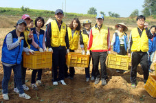 아산署, 결혼이민자와 고구마 농장에서 봉사활동