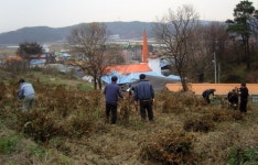 천안시 수신면, ‘서리태 수확 이웃사랑 실천’