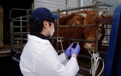 충남도, 브루셀라병 검사 확인도 ‘스마트폰 시대’
