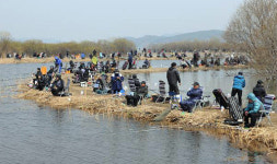 예산군수배 예당전국낚시대회 선착순 1000명 접수