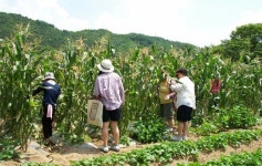 아산시, 주말농장 19개소 4만7779㎡ 분양
