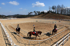 홍성군, 도내 최초 직영승마장 4월 1일 개장
