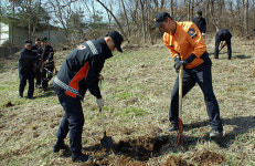 홍성소방서, 백월산에서 나무심기 행사 가져