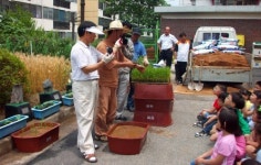 충남도, 도심 초등학교에서 ‘특별한 모내기’