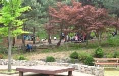 천안, 태학산자연휴양림 가족나들이 장소로 ‘강추’