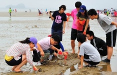 충남과학교육원, 생태체험·갯벌탐사 운영