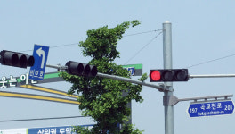 애매한 교통표지판 ‘놔두면 큰 사고 날듯’