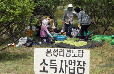 당진시, 경로당 생산화사업 31개소 추진