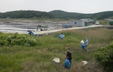 충남도, ‘깨끗한 천일염 생산 환경 조성’ 박차