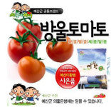 예산군 방울토마토, 인터넷으로 주문하세요
