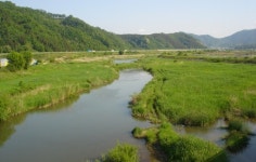 천안시 ‘풍서천 이야기가 있는 하천으로 조성’