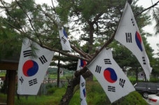 천안시 부성동, “태극기 꽃이 피었습니다”