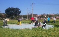 홍성군 은하면 직원들 태풍피해 복구 한마음