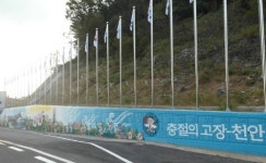 천안시 동면 도계 태극기 군집게양대 설치·벽화 조성