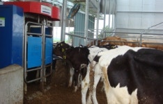 충남도, 축산기술 보급사업 ‘생산↑·비용↓’ 성과