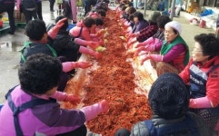 천안시 성거농협 사랑의 김장담그기 행사
