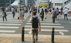 직장인 공시생, 영어 기본부터 다져야