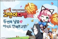 고양이 다방 시즌2 공개! 신규 고양이 및 컨텐츠 업데이트 진행